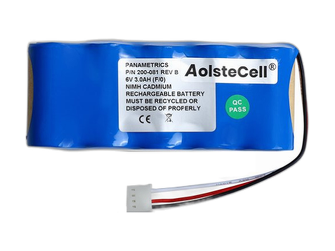 bateria Panametrics 200-081 